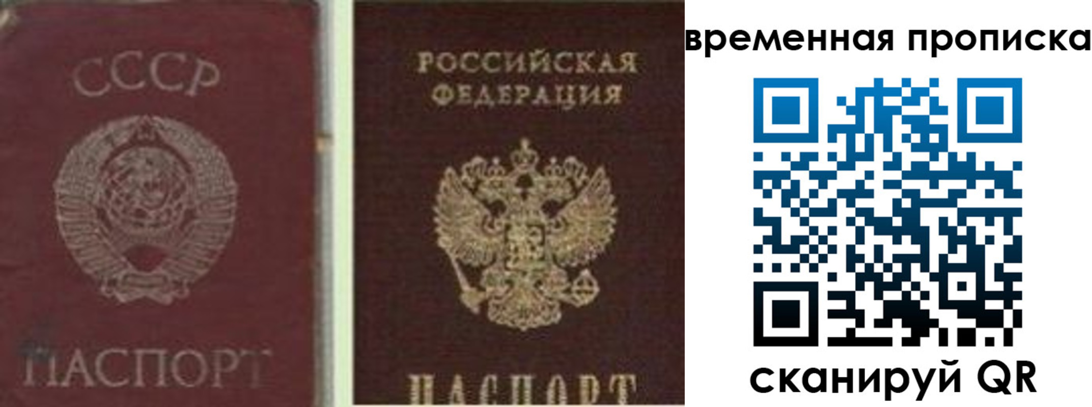 прописка 2025 в Донском